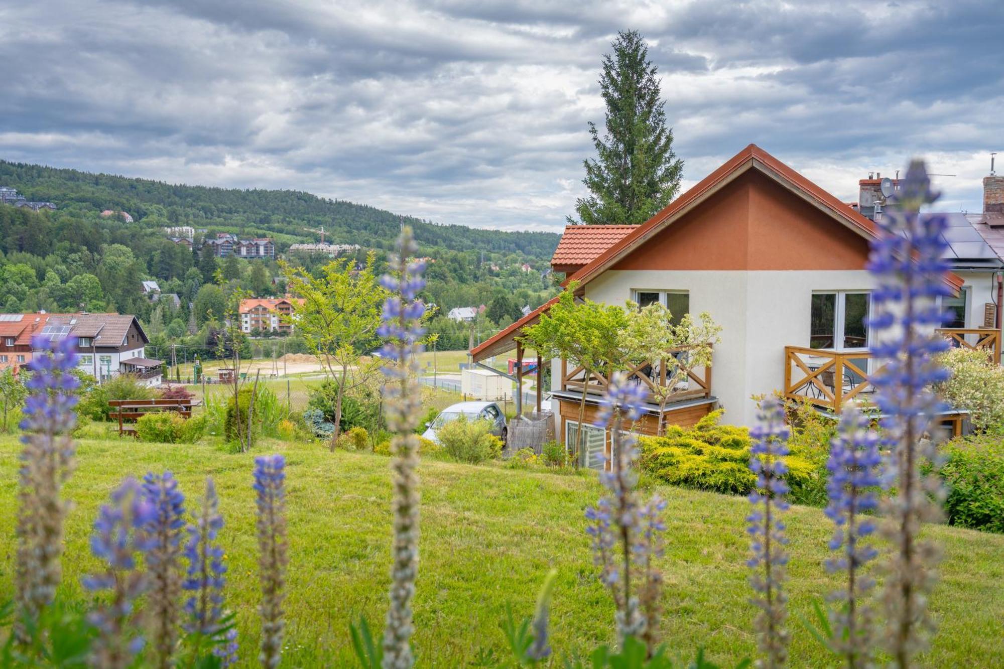 Domino - Pokoje I Apartamenty Szklarska Poręba Kültér fotó